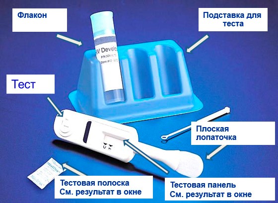 Спид.jpg
